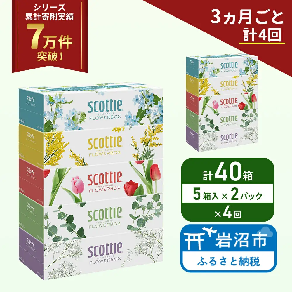 定期便 ティッシュ スコッティ フラワーボックス 40箱 ( 5箱 × 2パック )《 3ヶ月ごと 計  4 回》