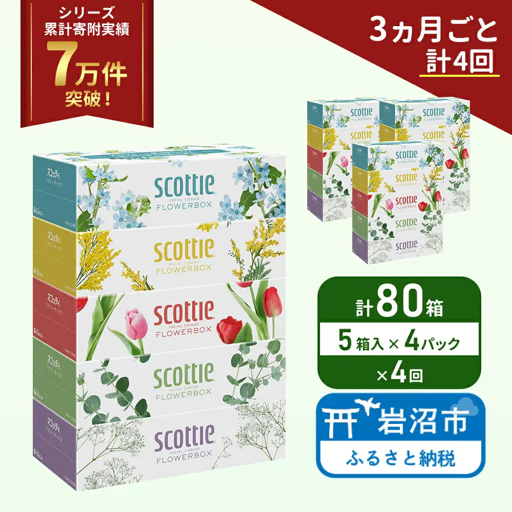 定期便 ティッシュ スコッティ フラワーボックス 80箱 ( 5箱 × 4パック)《 3ヶ月ごと 計  4 回》 