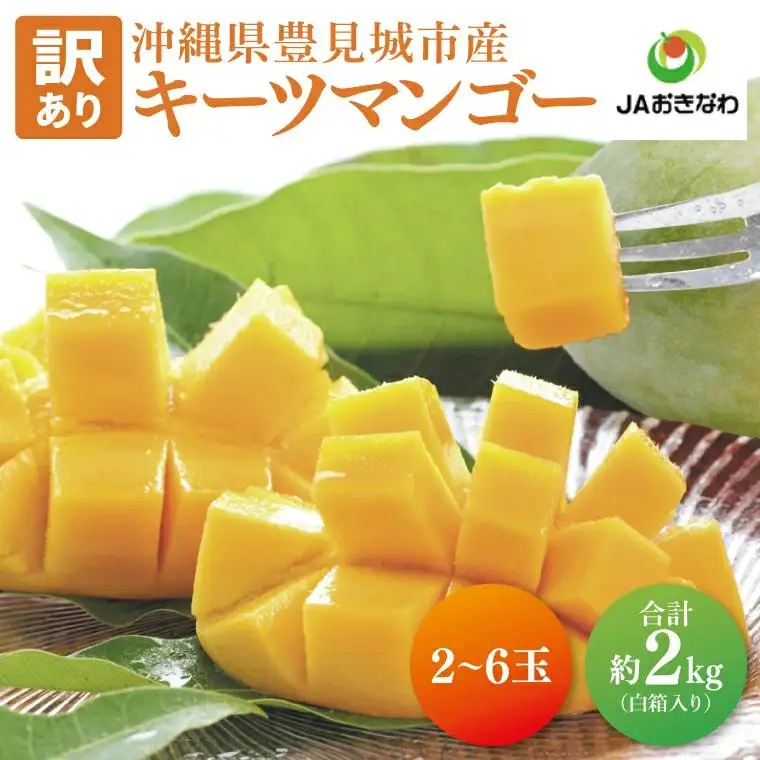 【訳あり】菜々色畑のキーツマンゴー 2～6玉(約2kg)【白箱】ご家庭用