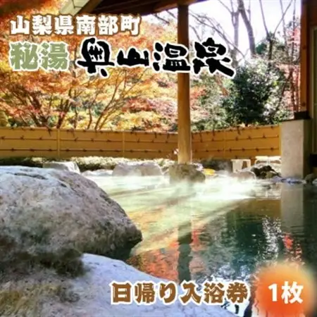 山梨県南部町秘湯「奥山温泉」日帰り入浴券(1名様分)【1枚】【1619536】