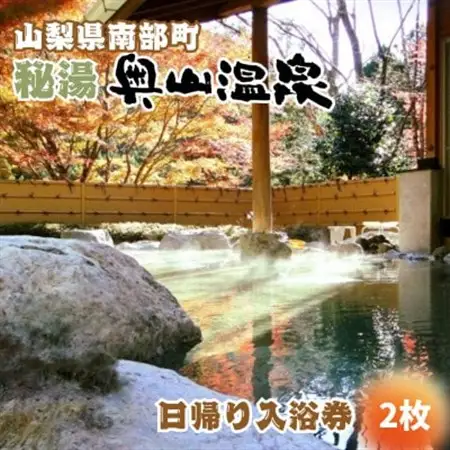 山梨県南部町秘湯「奥山温泉」日帰り入浴券(1名様分)【2枚】【1619538】