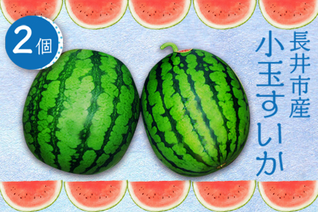 【2026年発送】小玉すいか（長井市産）約1.5～3kg×2玉_H053(R8)
