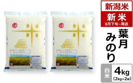 【先行予約・令和8年産新米・8月下旬～発送】新潟米 葉月みのり 白米 4kg ヤタらうんめぇお米 水田環境鑑定士在籍[Y0195]