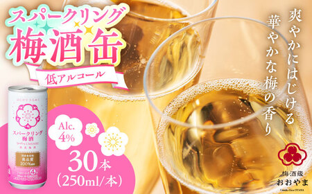 スパークリング梅酒 1ケース(250ml×30本入り) / 梅酒 本格梅酒 梅  / 日田市 / 株式会社おおやま夢工房[ARCW012]