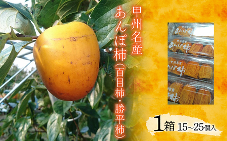 ＜2026年11月下旬以降発送先行予約＞甲州名産　あんぽ柿（百目柿・勝平柿）1箱（5パック入り）ALPCM007