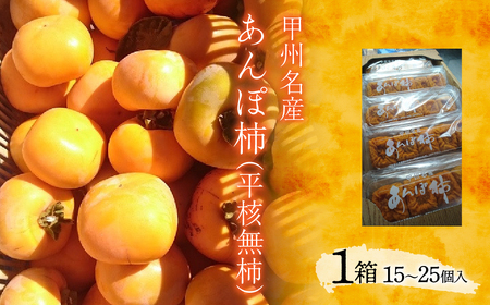 ＜2026年11月下旬以降発送先行予約＞甲州名産　あんぽ柿（平核無柿）1箱（5パック入り）ALPCM008