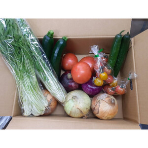 旬のお野菜詰め合わせセット【配送不可：北海道・沖縄・離島（一部除く）・島しょ部】◇