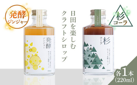 【お中元対象】日田杉香るクラフトコーラ　「杉コーラ」　/ピリッと生姜とシナモンの甘い香り　「発酵ジンジャー」　 飲み比べセット（杉コーラ、発酵ジンジャー2本セット/各1本） スパイス 炭酸 シロップ[ARDA009]