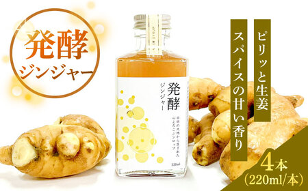 【お中元対象】ピリっと生姜にスパイスの甘い香り！身体にも心にも優しい発酵ジンジャーシロップ発酵ジンジャー（４本セット）  スパイス 炭酸 シロップ[ARDA012]