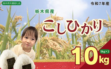 栃木県産 コシヒカリ10kg（5kg×2袋）【栃木県共通返礼品】AB | 栃木県 下野市