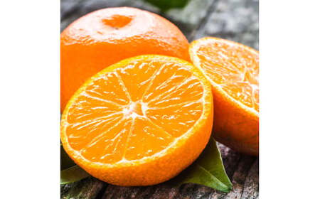 訳ありみかん 約5kg みかん 蜜柑 果物 くだもの フルーツ 【2026年10月上旬～2027年3月上旬発送予定】