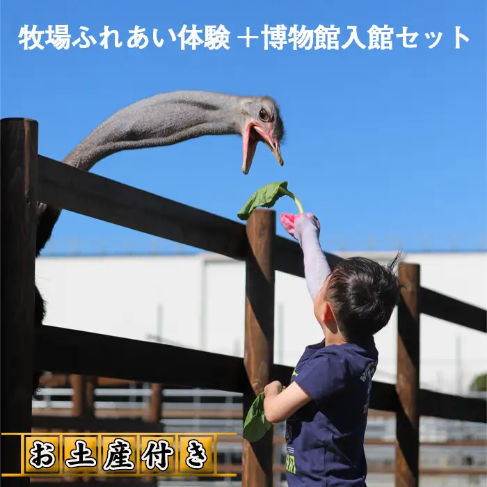 牧場ふれあい体験＋博物館入館セット【お土産付き】  [No.210]