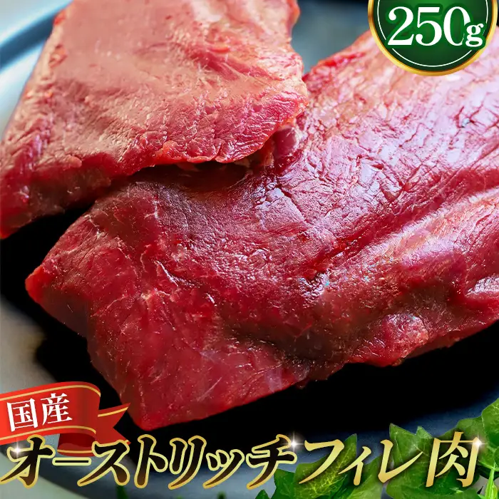 国産オーストリッチお試しフィレ肉250g  [No.023]