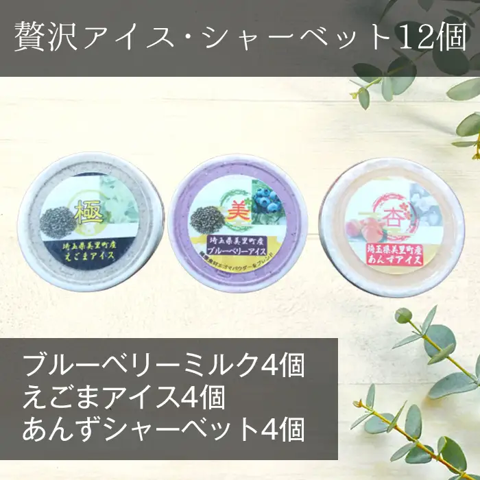 【美里町特産品使用】贅沢アイス・シャーベット12個セット（3種類：えごま・ブルーベリー＆えごま・あんず）  [No.045]