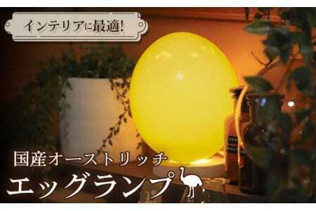 国産オーストリッチエッグランプ（LED電球白色）【インテリアに最適！】  [No.059-01]