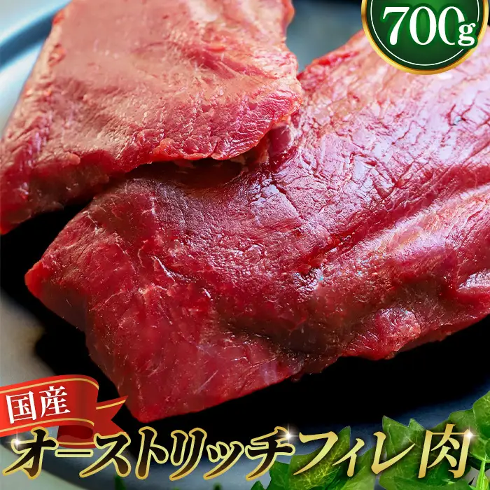 国産オーストリッチフィレ肉700g  [No.066]