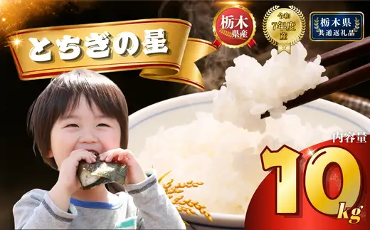 栃木県産 とちぎの星 10kg（5kg×2袋）【栃木県共通返礼品】AB | 栃木県 下野市