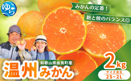 温州みかん 2kg 2S～2Lサイズ混合 11月発送 ※2026年11月中旬頃～11月下旬頃に順次発送予定【nktn004-r-2-nov】