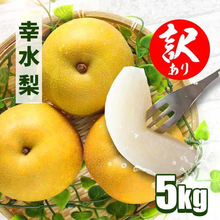 訳あり 柴沼梨園の梨 （ 幸水 ） 梨 5kg 訳あり品 10～18個入り 先行予約 【8月中旬～8月下旬発送】 BX-001