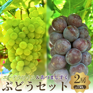 【先行予約】【数量限定】夏一番 ぶどうセット あづましずく エーデルワイス 2房 セット 詰め合わせ 葡萄 ぶどう ブドウ 食べ比べ フルーツ 果物 くだもの  旬のフルーツ 旬の果物 大阪 大阪府 岸和田市