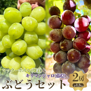 【先行予約】【数量限定】おすすめ感謝 セット ぶどうセット マッターホルン キリマンジャロ 2房 詰め合わせ 葡萄 ぶどう ブドウ 食べ比べ フルーツ 果物 旬の果物 大阪 大阪府 岸和田市