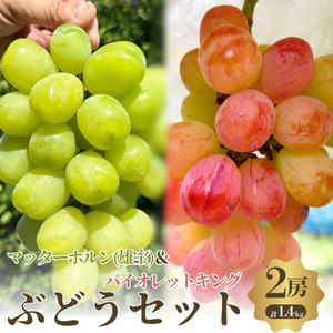 【先行予約】【数量限定】おすすめ感謝 セット ぶどうセット マッターホルン バイオレットキング 2房 詰め合わせ 葡萄 ぶどう ブドウ 食べ比べ フルーツ 果物  旬の果物 大阪 大阪府 岸和田市