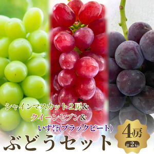 【先行予約】【数量限定】おすすめ感謝 セット ぶどうセット シャインマスカット 2房 クイーンセブン 泉湧誉 4房 詰め合わせ 葡萄 マスカット 食べ比べ フルーツ  旬のフルーツ 大阪 大阪府 岸和田市