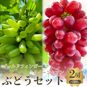 【先行予約】【数量限定】おすすめ感謝 セット ぶどうセット クイーンセブン ゴールドフィンガー 2房 セット 詰め合わせ 葡萄 ぶどう 食べ比べ フルーツ 果物  旬の果物 大阪 大阪府 岸和田市