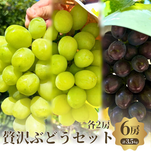 【先行予約】【数量限定】贅沢 シャイン品種 ぶどうセット 3種 6房 セット 詰め合わせ ぶどう ブドウ マスカット シャインマスカット 食べ比べ フルーツ 果物  旬の果物 大阪 大阪府 岸和田市
