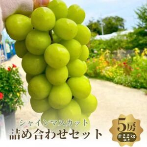 【先行予約】【数量限定】おすすめ シャインマスカット 5房 詰め合わせ 葡萄 ぶどう マスカット シャインマスカット 食べ比べ ぶどうセット フルーツ 果物旬の果物 大阪 大阪府 岸和田市