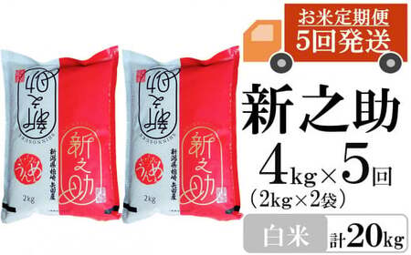 新米先行予約【令和8年産米・5ヶ月定期便】新之助 白米 4kg（2kg×2袋）×5回（計 20kg）ヤタらうんめぇお米 水田環境鑑定士在籍 しんのすけ[Y0182]