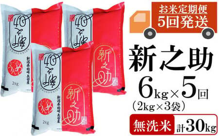 新米先行予約【令和8年産米・5ヶ月定期便】新之助 無洗米 6kg（2kg×3袋）×5回（計 30kg）ヤタらうんめぇお米 水田環境鑑定士在籍 しんのすけ[Y0185]