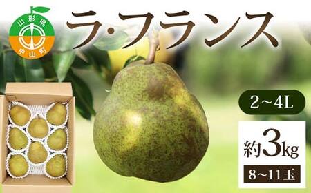 《2026年発送先行予約》ラ・フランス約3kg 2～4L 8～11玉 らふらんす 果物 くだもの フルーツ 山形県産 F4A-0937
