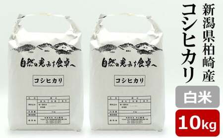 【令和7年産米】コシヒカリ 白米 10kg（5kg×2袋） 新潟米 [Y0527]