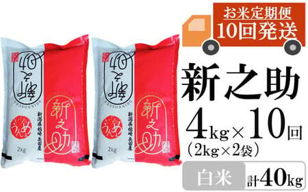新米先行予約【令和8年産米・10ヶ月定期便】新之助 白米 4kg（2kg×2袋）×10回（計 40kg）ヤタらうんめぇ しんのすけ 水田環境鑑定士在籍[Y0339]