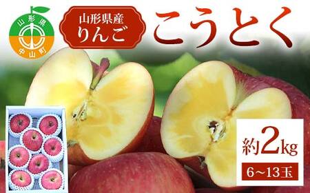 《2026年発送先行予約》こうとく約2kg 6～13玉 こうとく 林檎 リンゴ 果物 くだもの フルーツ 山形県産 F4A-0940