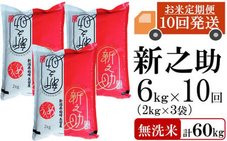 新米先行予約【令和8年産米・10ヶ月定期便】新之助 無洗米 6kg（2kg×3袋）×10回（計 60kg）ヤタらうんめぇ しんのすけ 水田環境鑑定士在籍[Y0342]