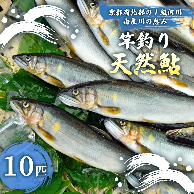 【2026年夏発送】天然鮎 竿釣り 10匹 （17?23cm） 配送不可：北海道、東北、九州、沖縄、離島