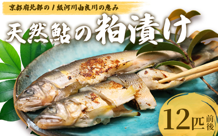天然鮎の粕漬け 12匹 あゆ 鮎 粕漬け