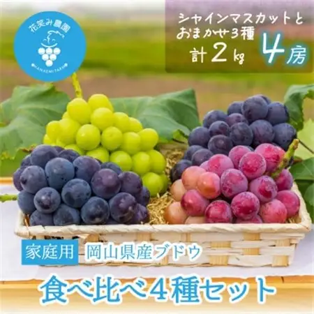 岡山　花笑み農園の『食べ比べ4種』シャイン入り　家庭用　2kg(4房)4M-2【配送不可地域：離島・北海道・沖縄県】【1626793】