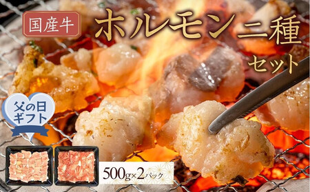 【父の日ギフト】国産牛　ホルモン二種セット1000g | 父の日