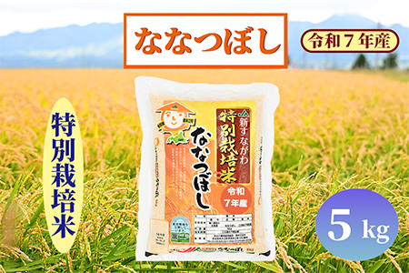 北海道奈井江町　特別栽培米　ななつぼし　5kg