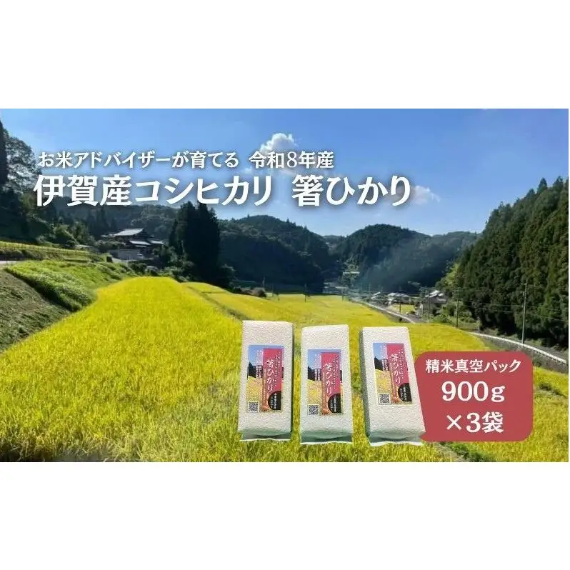 先行販売！令和8年度産　伊賀産コシヒカリ　極上　箸ひかり(精米真空パック)900ｇ×3袋 コシヒカリ 3年連続 特A 米 こしひかり ご飯 ごはん 白米 精米 三重県 名張市