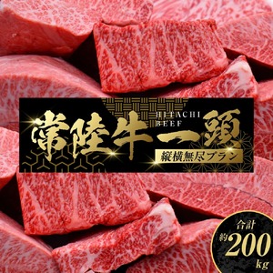 【茨城県共通返礼品】常陸牛 一頭 コンシェルジュ 縦横無尽プラン（チケット） オーダーチケット 1枚 オーダーカット 肉 お肉 牛肉 唯一無二のプラン 最大100件まで発送可能 贈答用発送可 ブランド牛 銘柄牛 茨城県 守谷市 送料無料
