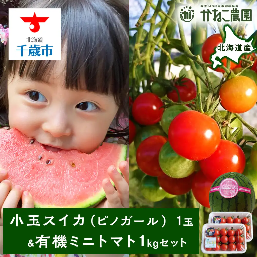 【2026年8月中旬より発送】小玉スイカ１玉＆有機ミニトマト500ｇ×2【かねこ農園】