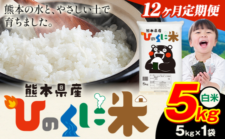 【12ヶ月定期便】 白米 ひのくに米 5kg 精米 《お申込み翌月から出荷》