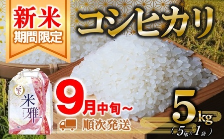 新米 コシヒカリ 5kg 白米【10営業日以内発送】令和７年産 14.5-1