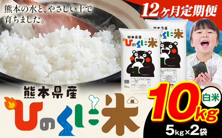 【12ヶ月定期便】 白米 ひのくに米 10kg 精米 《お申込み翌月から出荷》