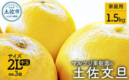 【先行予約】マルツジ果樹園の土佐文旦 家庭用(中玉) 約1.5kg 1.5キロ 2Lサイズ 3個入り〈2027年2月1日から3月31日頃発送〉 ぶんたん ブンタン フルーツ 柑橘 みかん 果物 くだもの 柑橘類 デザート ご自宅用【マルツジ果樹園】[BQAN015]
