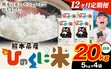 【12ヶ月定期便】 白米 ひのくに米 20kg 精米 《お申込み翌月から出荷》